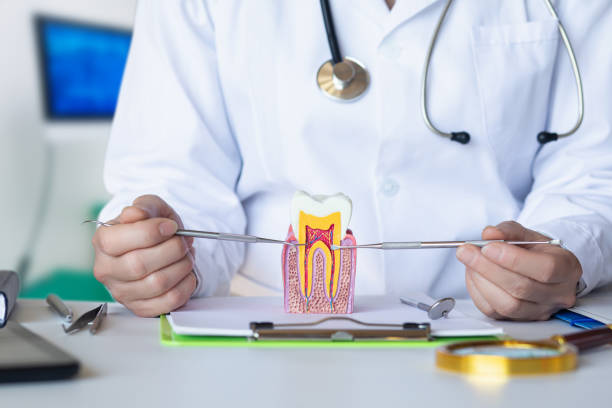 Best Emergency Treatment for Oral Infections in Youngsville, NC